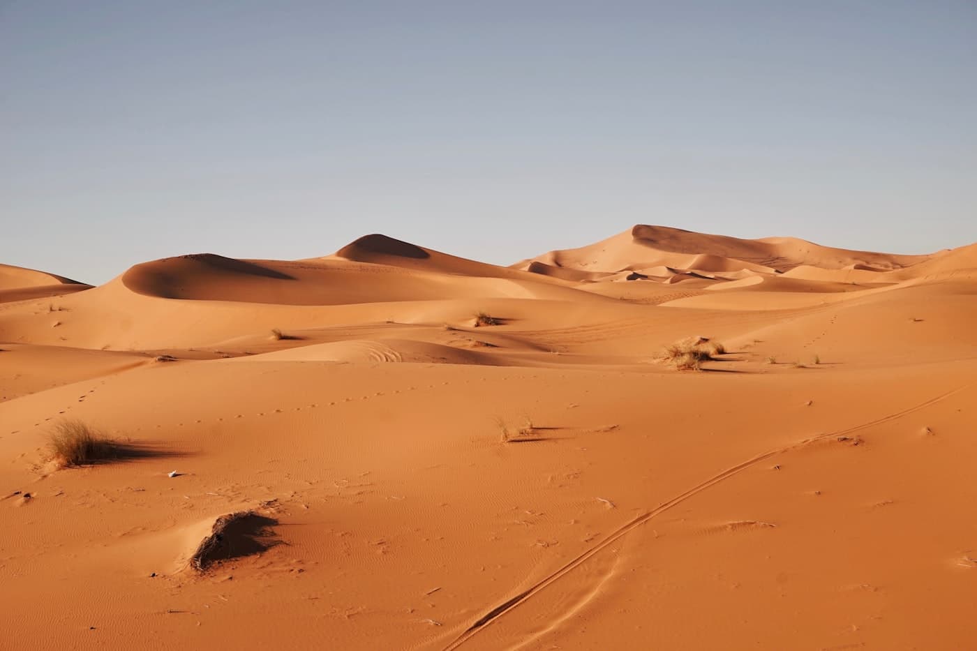 Wind-sculpted empty dunes stretching to the horizon